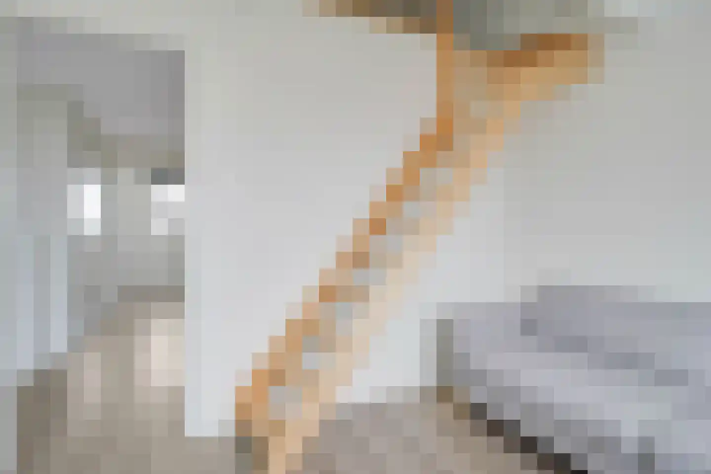 Gouden Harplaan 38 Berkel en Rodenrijs thumbnail 35