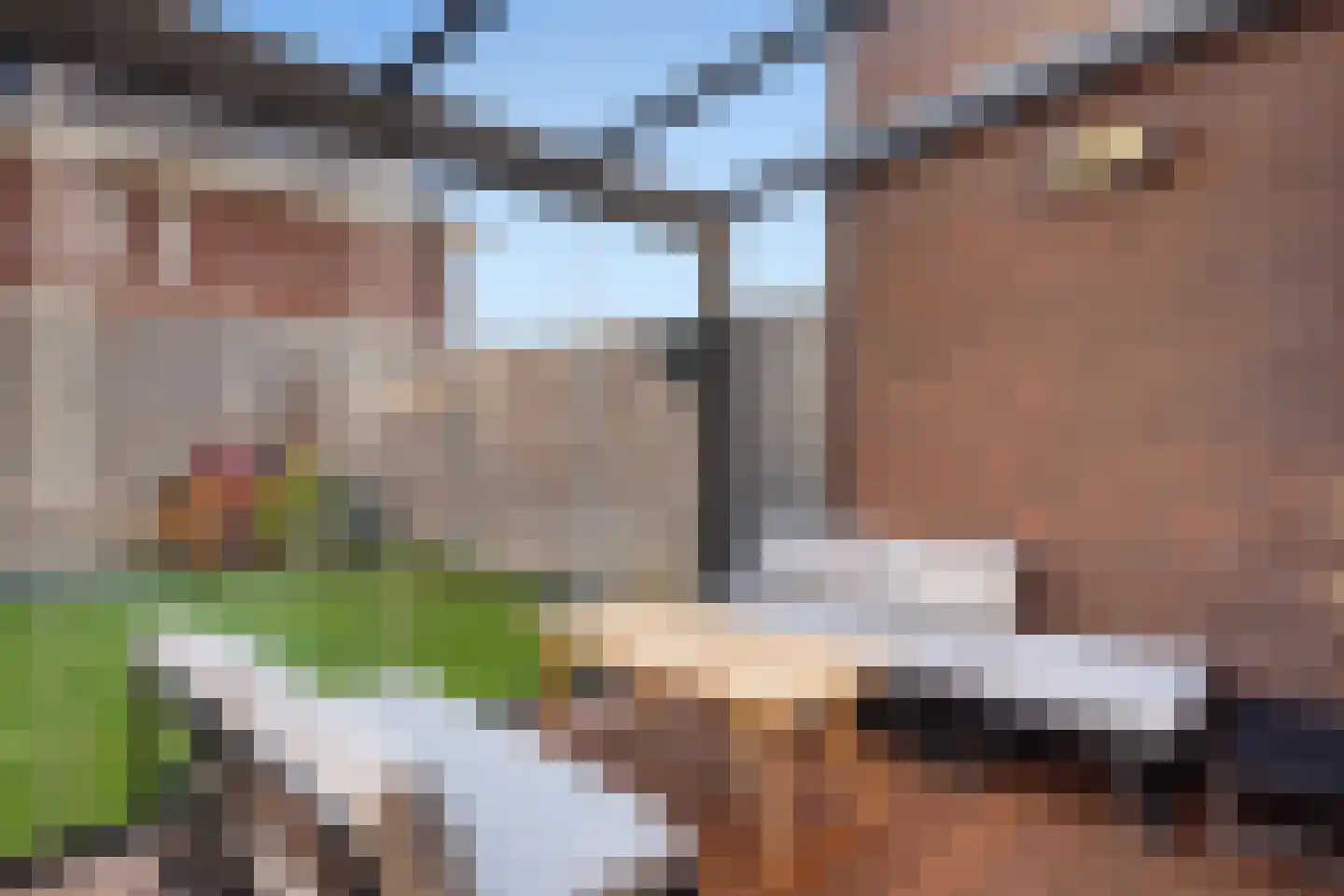 Gouden Harplaan 7 Berkel en Rodenrijs thumbnail 27