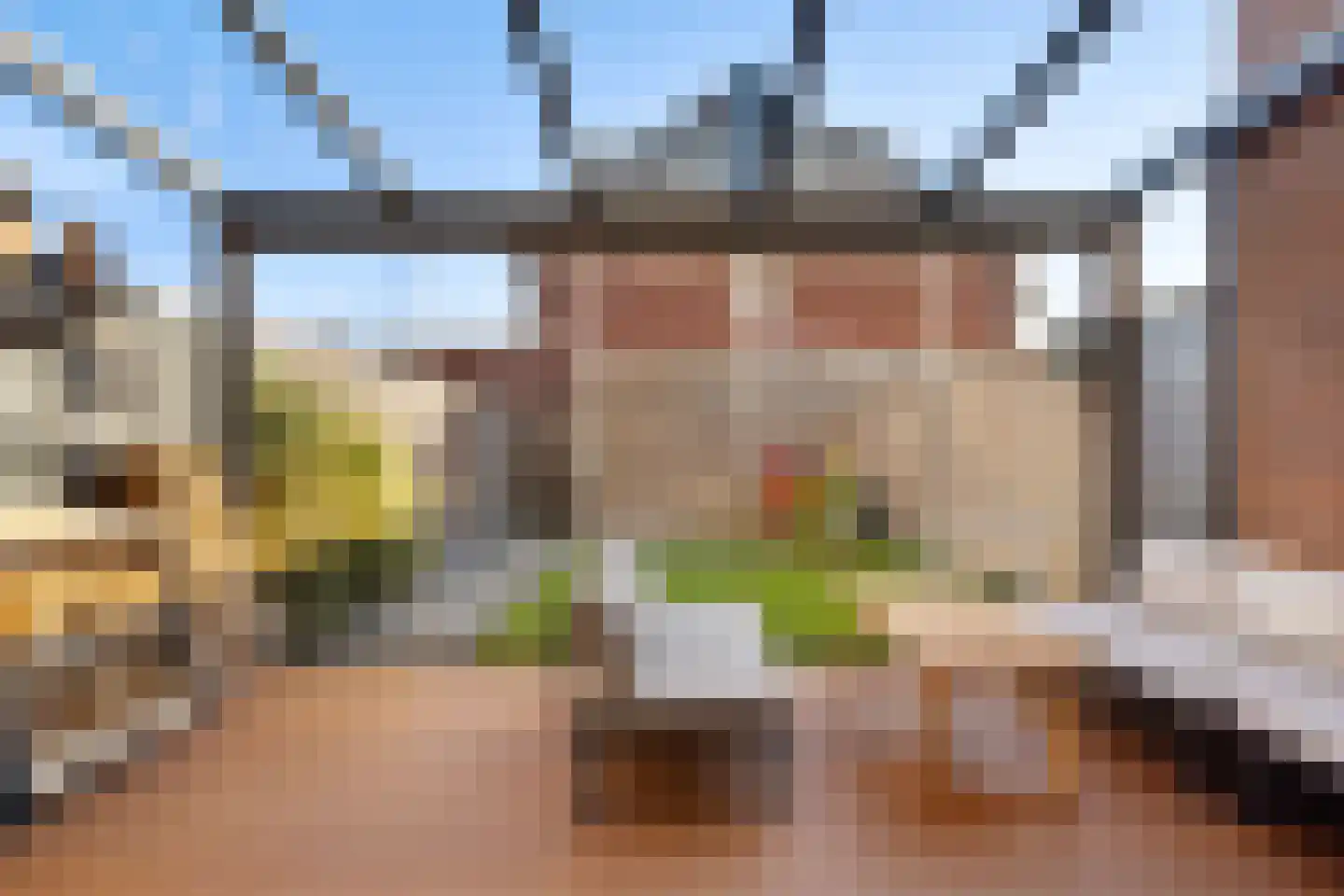 Gouden Harplaan 7 Berkel en Rodenrijs thumbnail 8