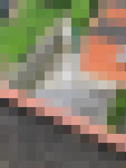 Gouden Koetslaan 32 Vleuten thumbnail 4