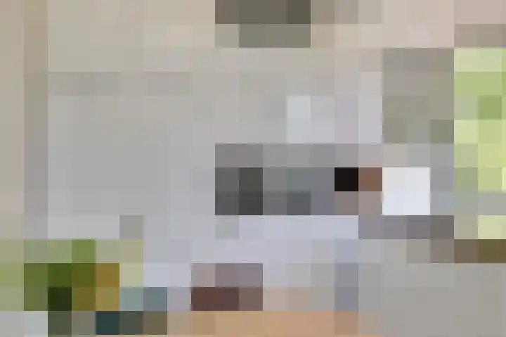 Gouden Koetslaan 4 Vleuten thumbnail 10