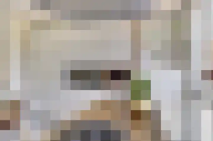 Gouden Koetslaan 4 Vleuten thumbnail 11