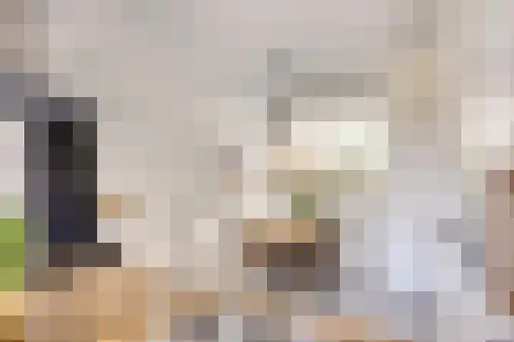 Gouden Koetslaan 4 Vleuten thumbnail 12