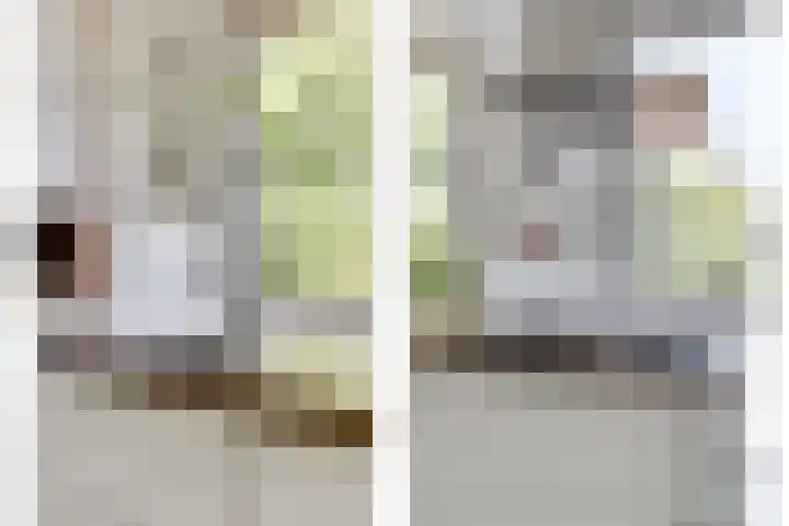 Gouden Koetslaan 4 Vleuten thumbnail 14