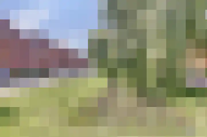 Gouden Koetslaan 4 Vleuten thumbnail 26