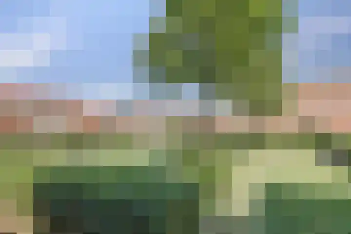 Gouden Koetslaan 4 Vleuten thumbnail 27