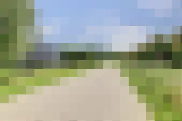 Gouden Koetslaan 4 Vleuten thumbnail 28