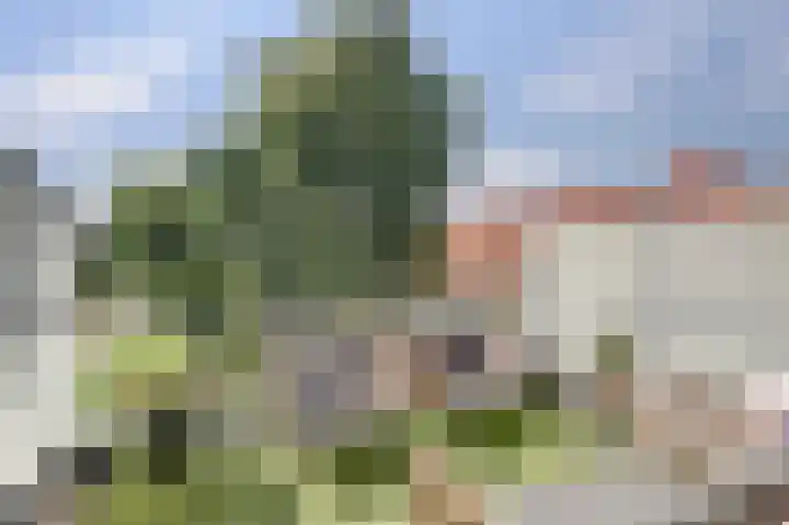 Gouden Koetslaan 4 Vleuten thumbnail 4