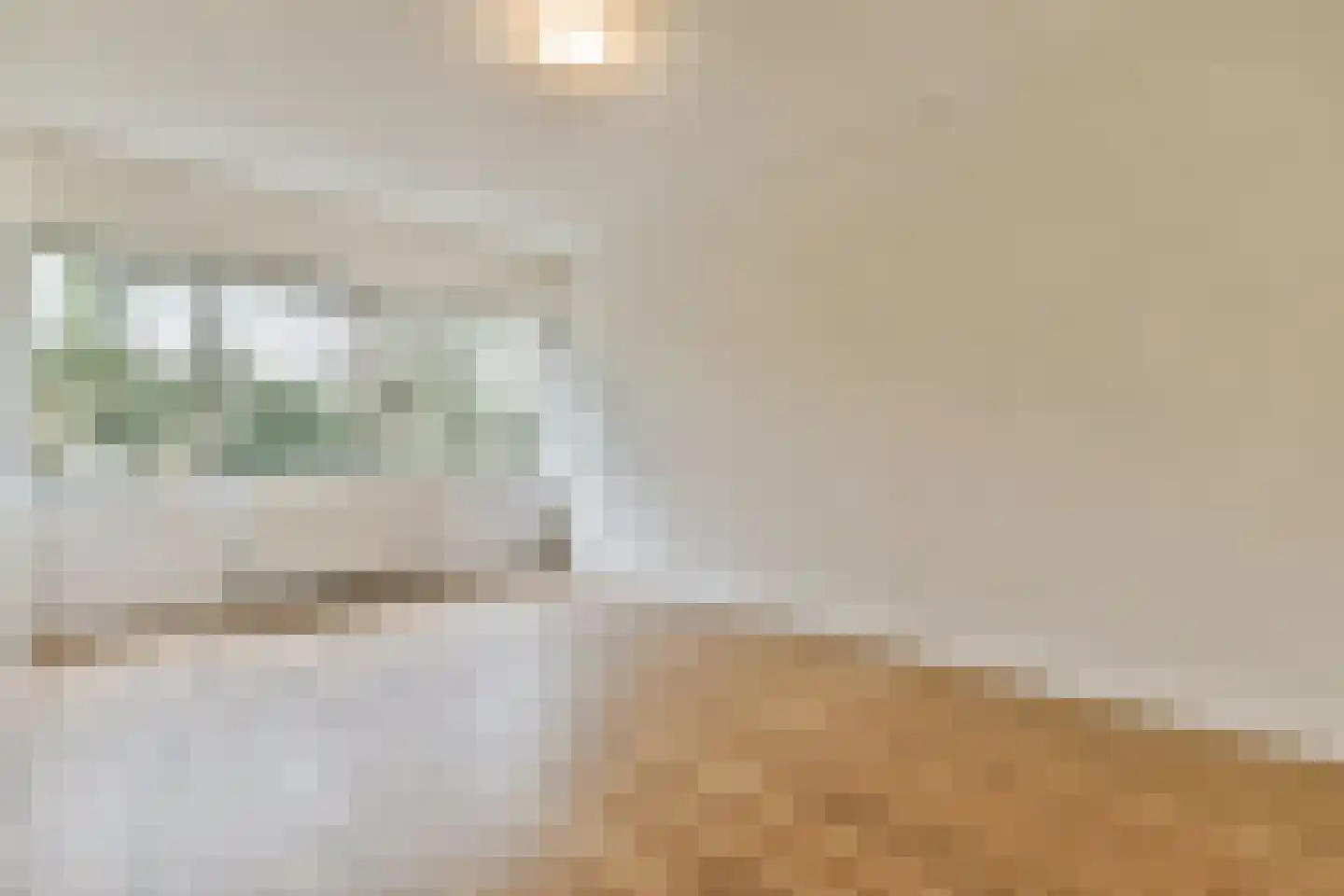 Gouden Leeuw 1006 Amsterdam thumbnail 11