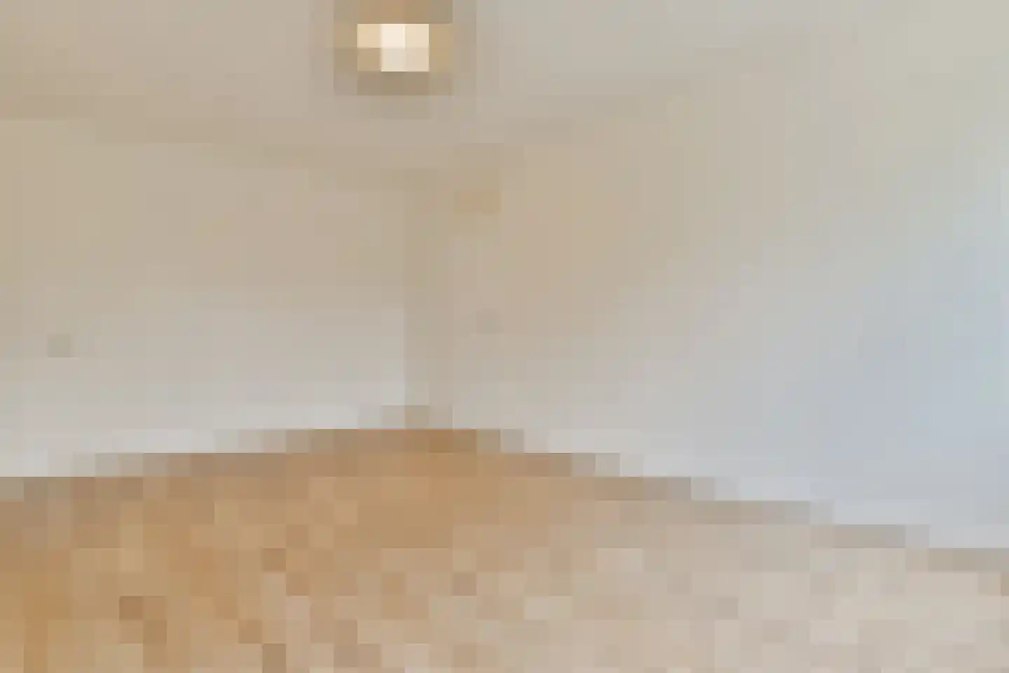 Gouden Leeuw 1006 Amsterdam thumbnail 13