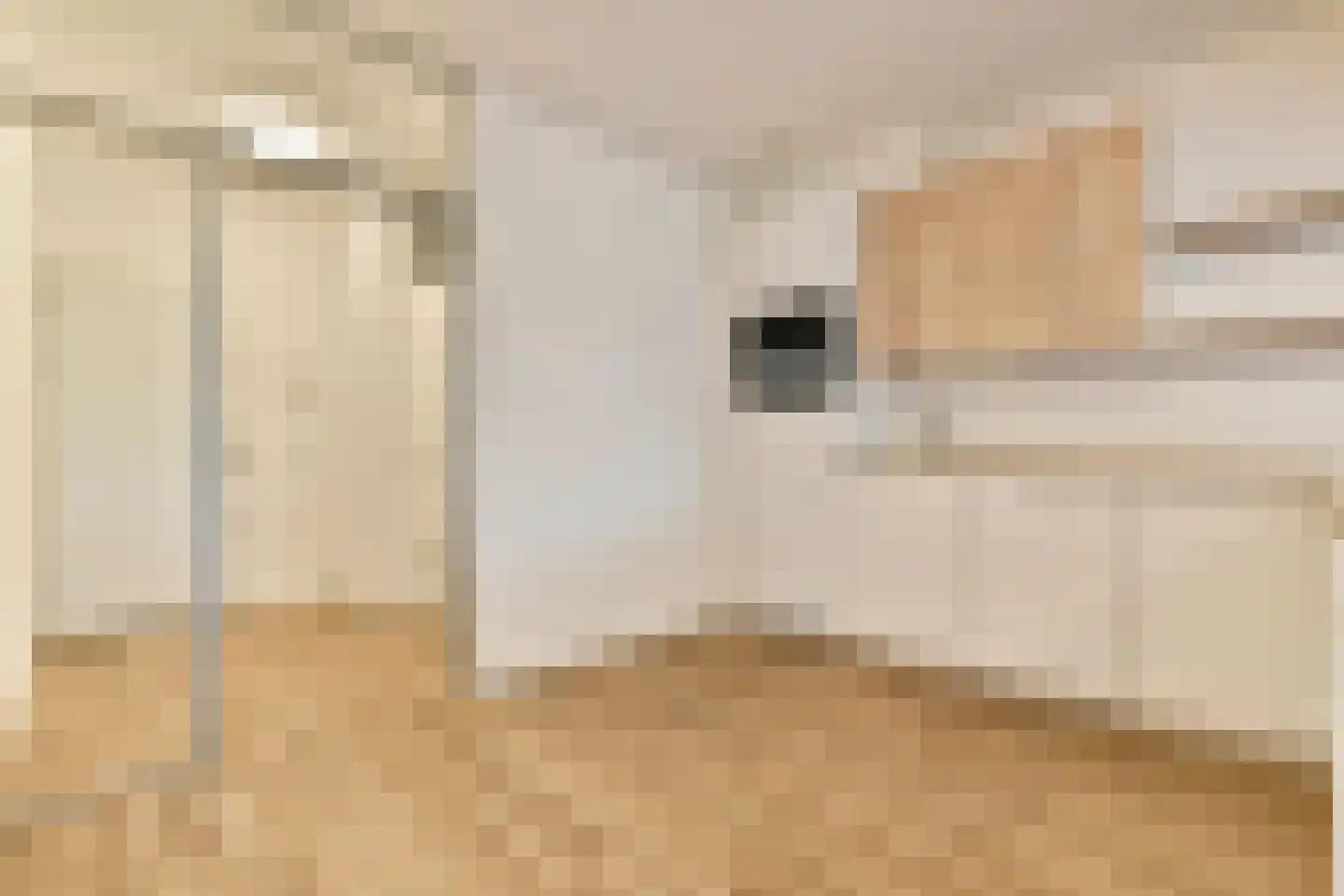 Gouden Leeuw 1006 Amsterdam thumbnail 14