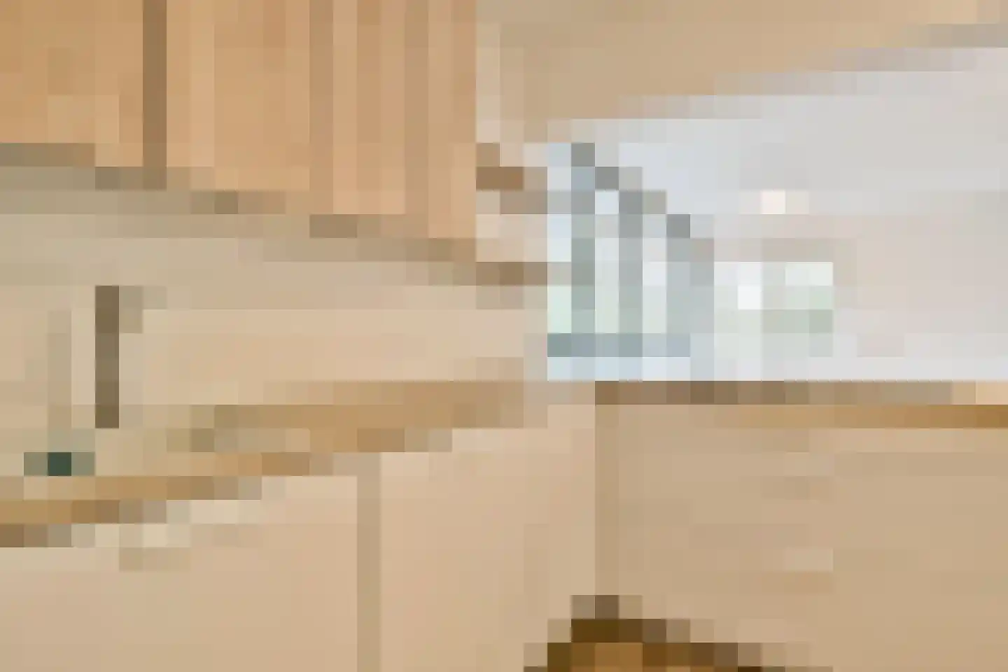 Gouden Leeuw 1006 Amsterdam thumbnail 15