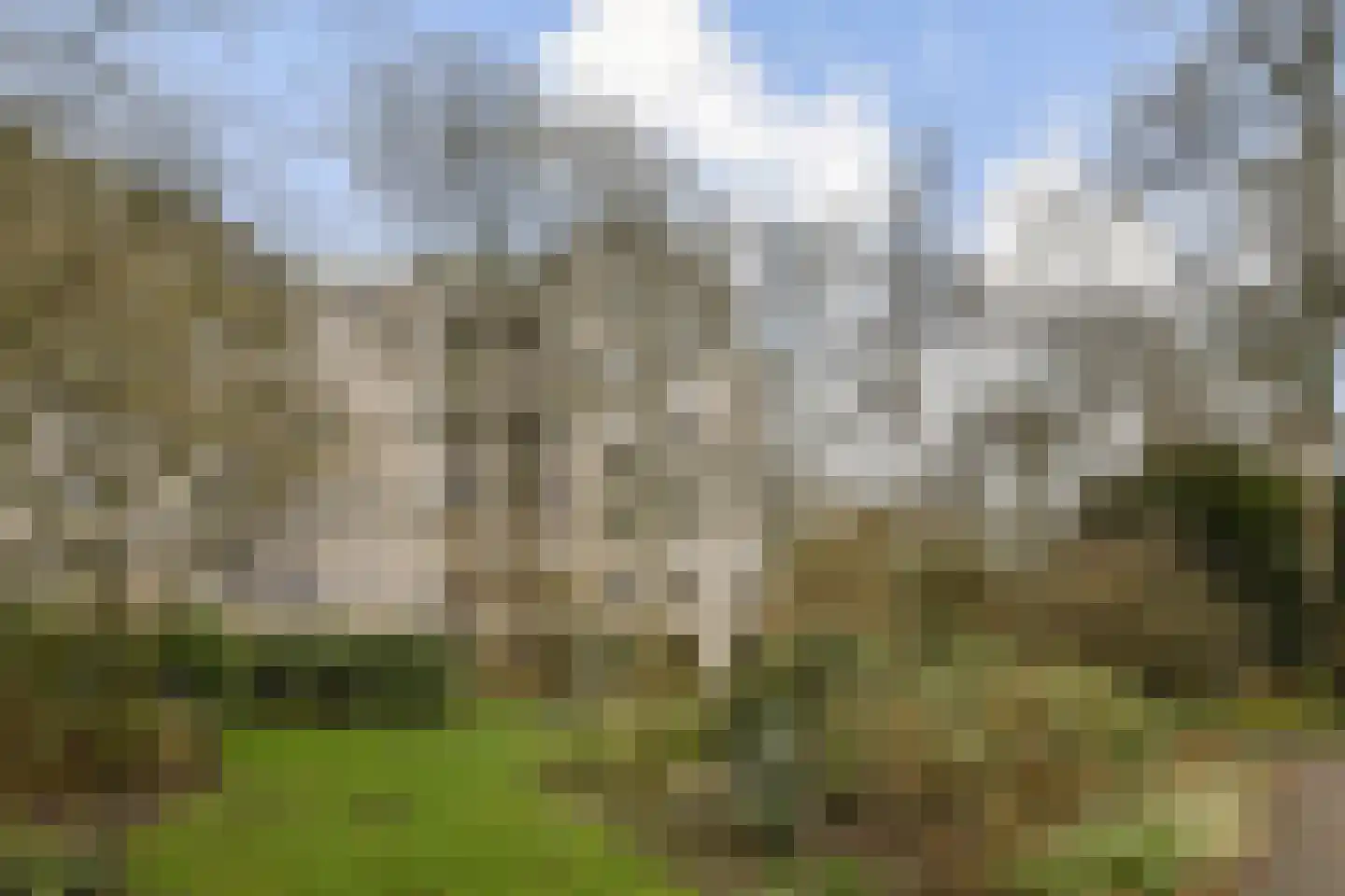 Gouden Leeuw 1006 Amsterdam thumbnail 6
