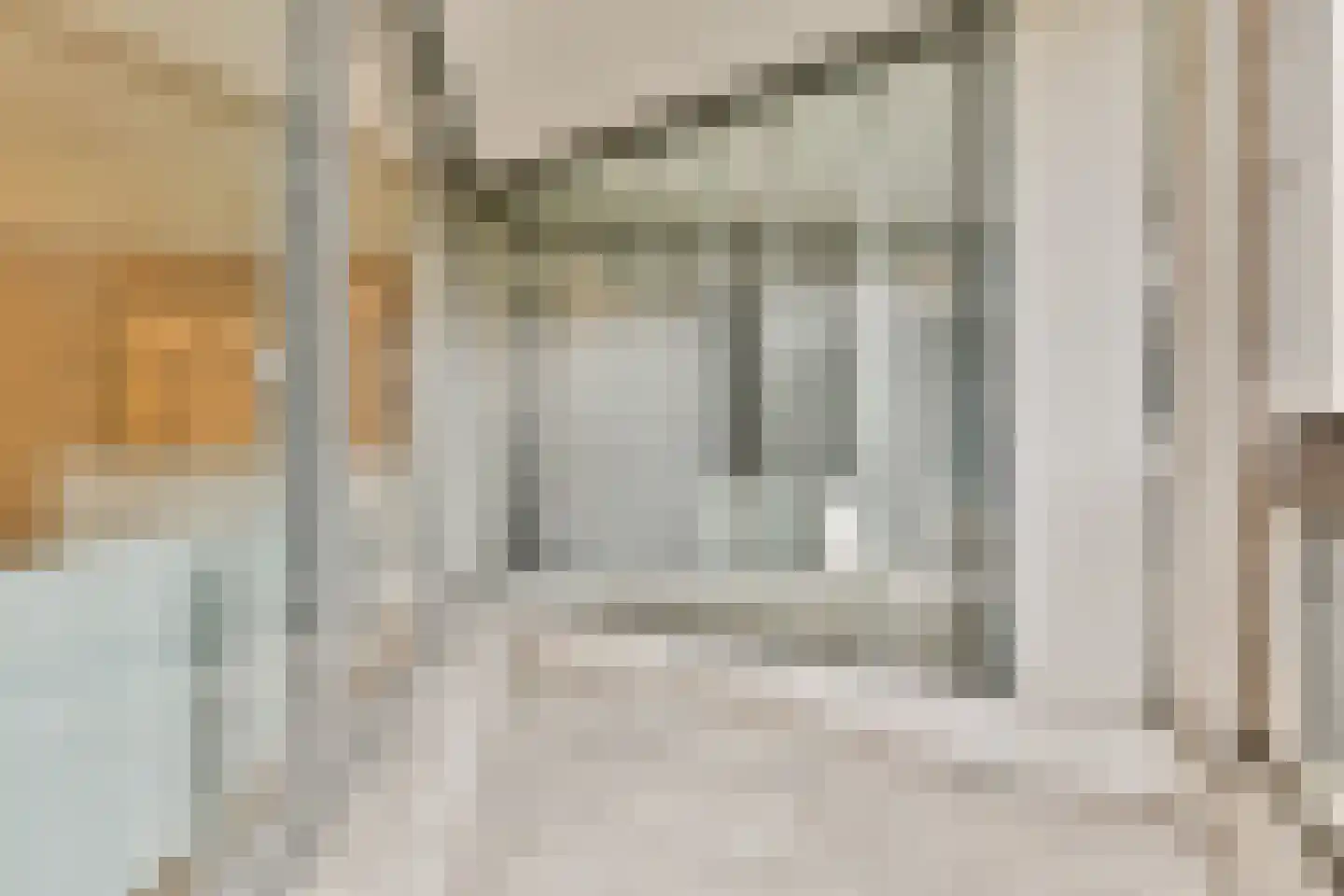 Gouden Leeuw 1006 Amsterdam thumbnail 7
