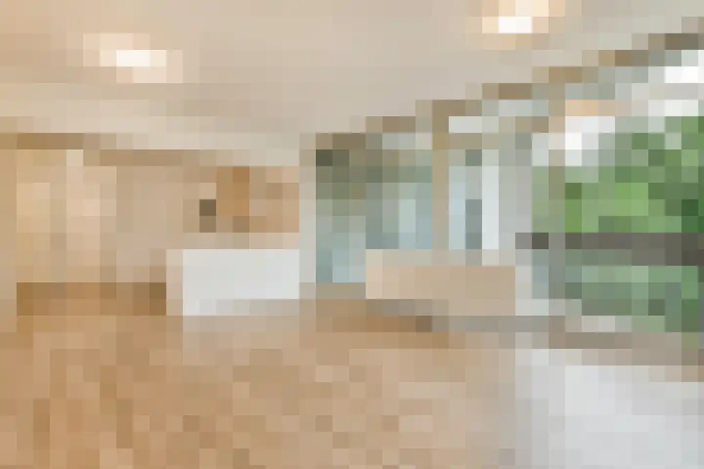 Gouden Leeuw 1006 Amsterdam thumbnail 8
