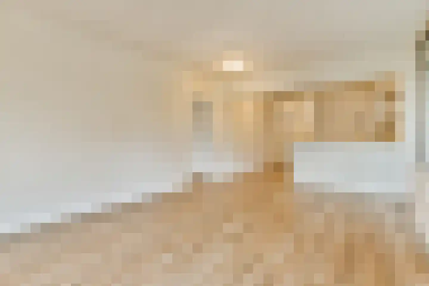Gouden Leeuw 1006 Amsterdam thumbnail 9