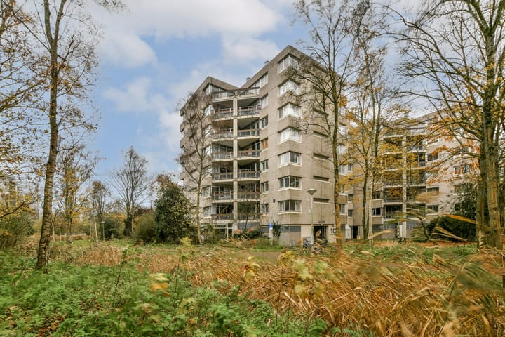 Gouden Leeuw 1019 in Amsterdam Foto