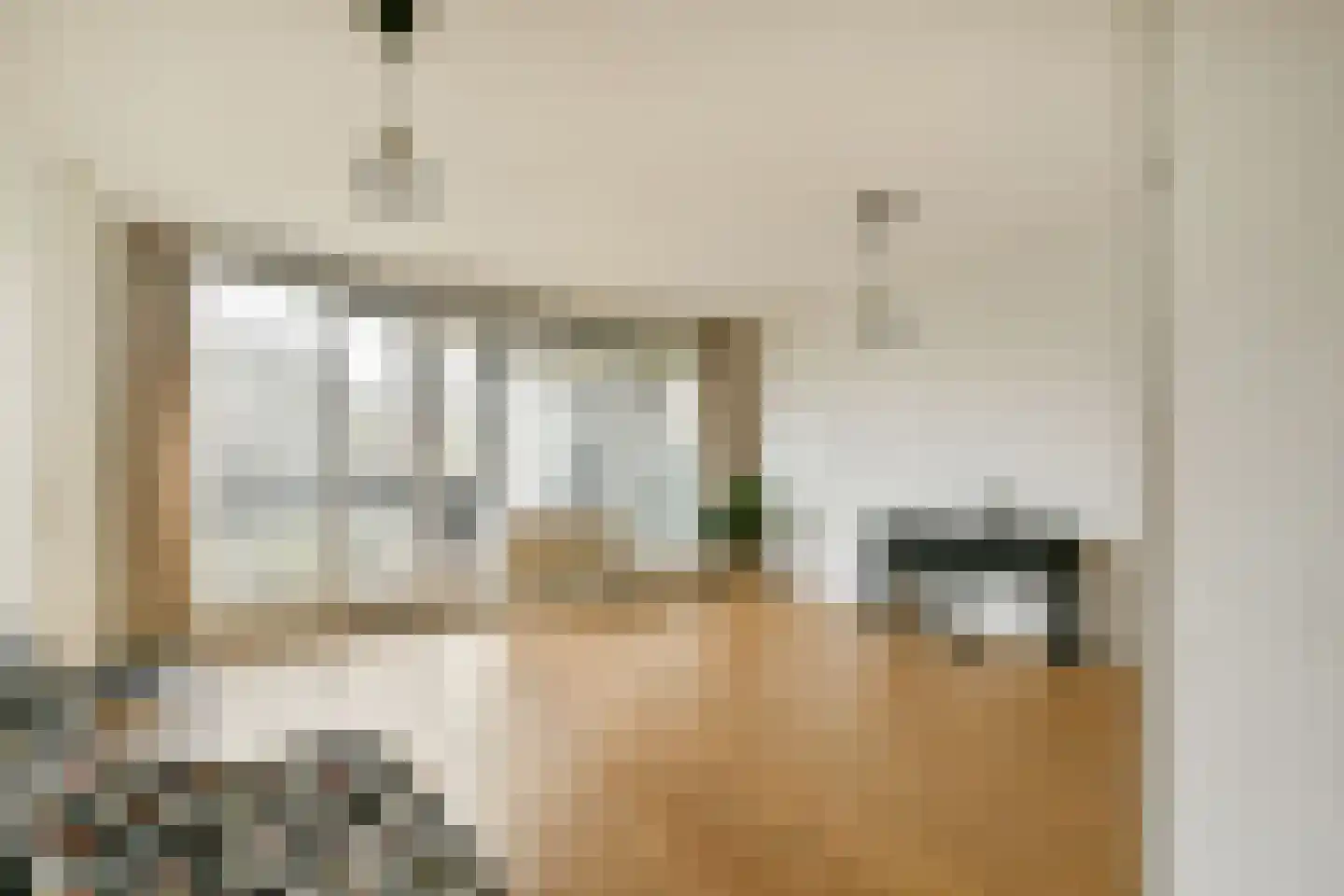 Gouden Leeuw 1019 Amsterdam thumbnail 10