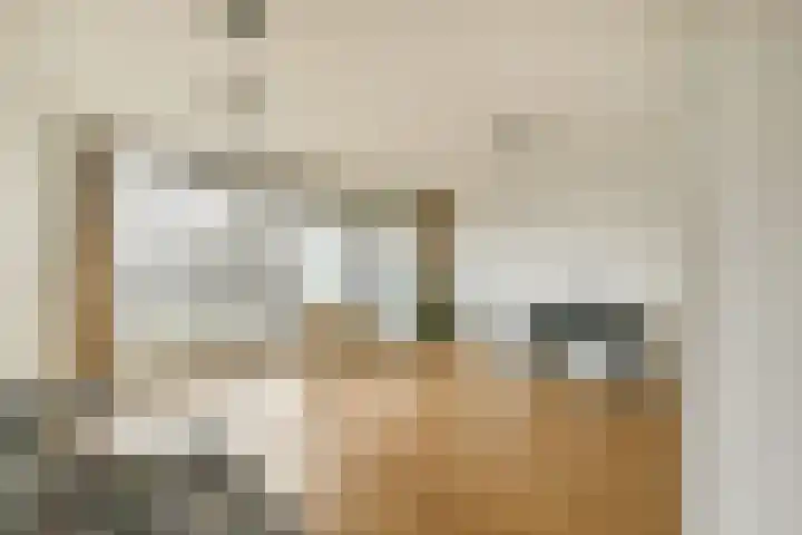 Gouden Leeuw 1019 Amsterdam thumbnail 10