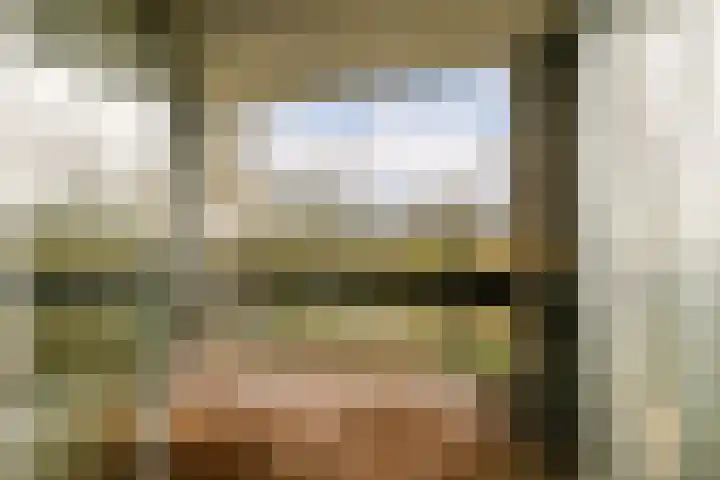Gouden Leeuw 1019 Amsterdam thumbnail 11