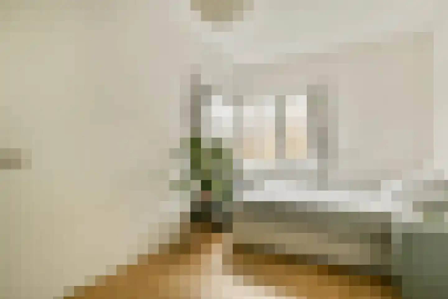 Gouden Leeuw 1019 Amsterdam thumbnail 13