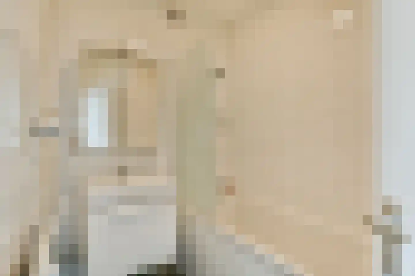 Gouden Leeuw 1019 Amsterdam thumbnail 14
