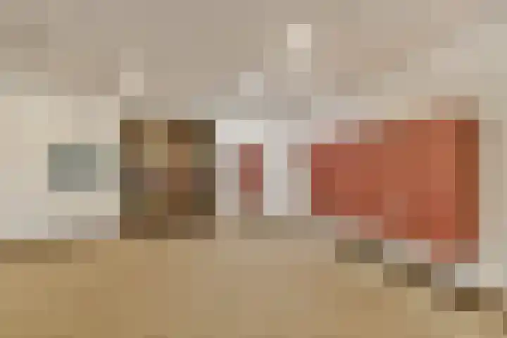 Gouden Leeuw 1019 Amsterdam thumbnail 16