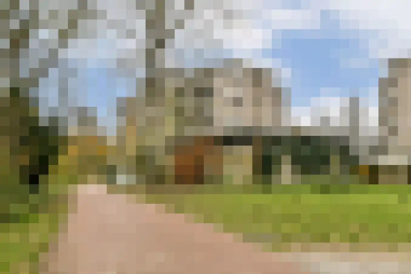 Gouden Leeuw 1019 Amsterdam thumbnail 17