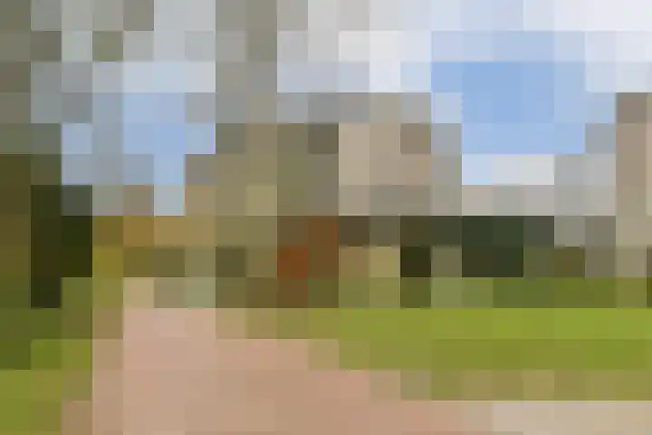 Gouden Leeuw 1019 Amsterdam thumbnail 17