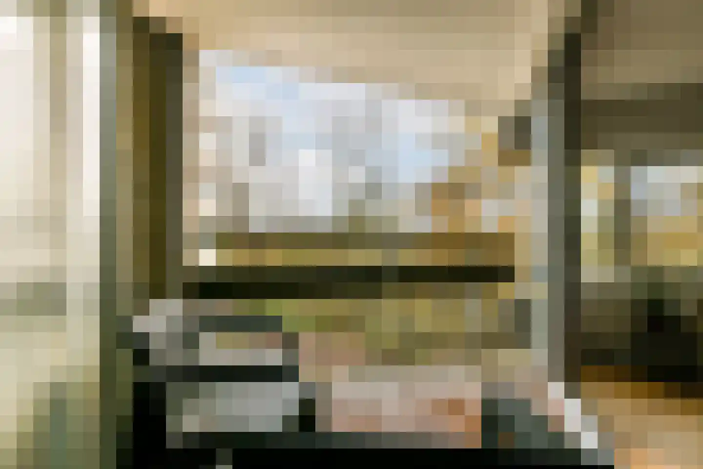 Gouden Leeuw 1019 Amsterdam thumbnail 4