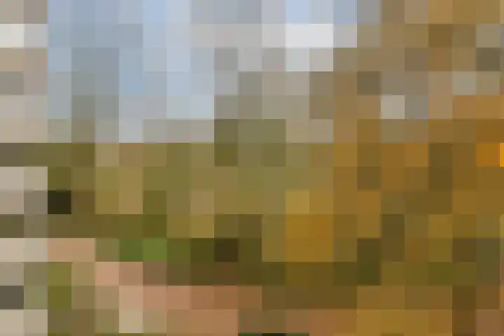 Gouden Leeuw 1019 Amsterdam thumbnail 5