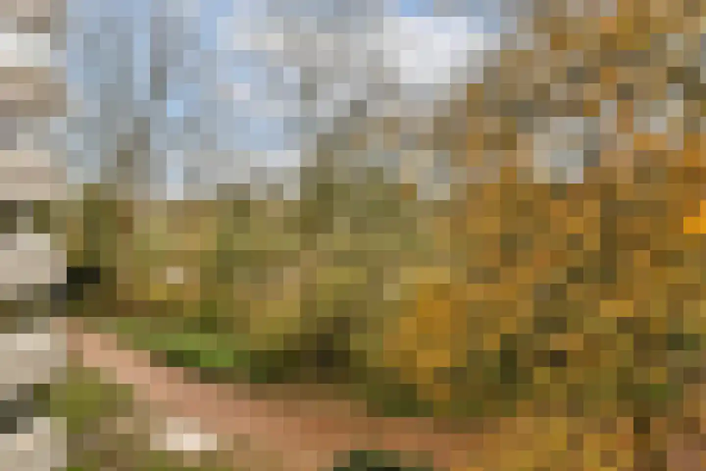 Gouden Leeuw 1019 Amsterdam thumbnail 5