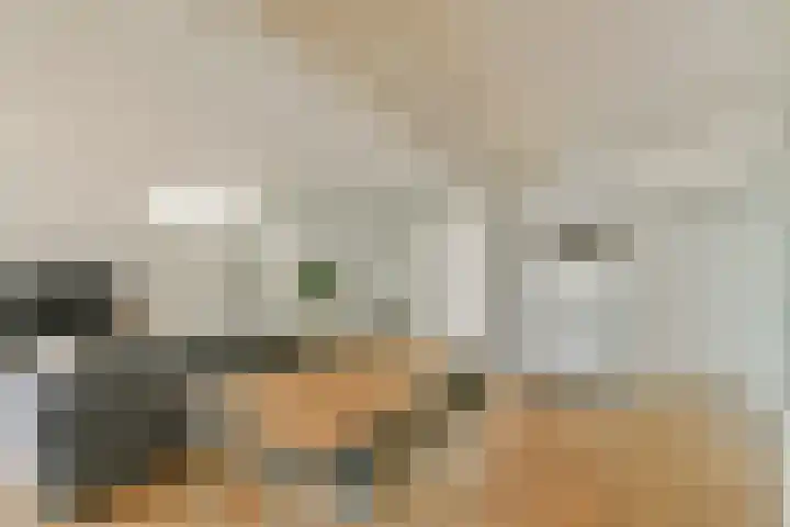 Gouden Leeuw 1019 Amsterdam thumbnail 7