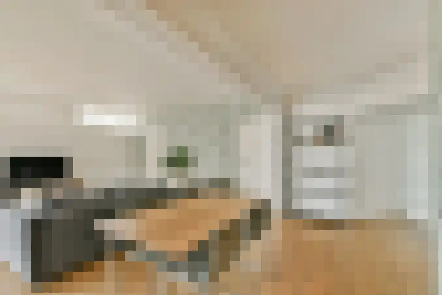 Gouden Leeuw 1019 Amsterdam thumbnail 7