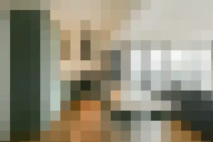 Gouden Leeuw 1019 Amsterdam thumbnail 8