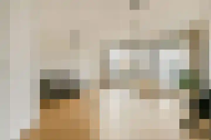 Gouden Leeuw 1019 Amsterdam thumbnail 9
