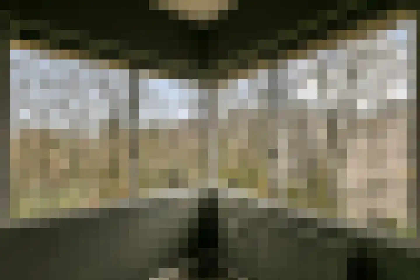 Gouden Leeuw 1027 Amsterdam thumbnail 13