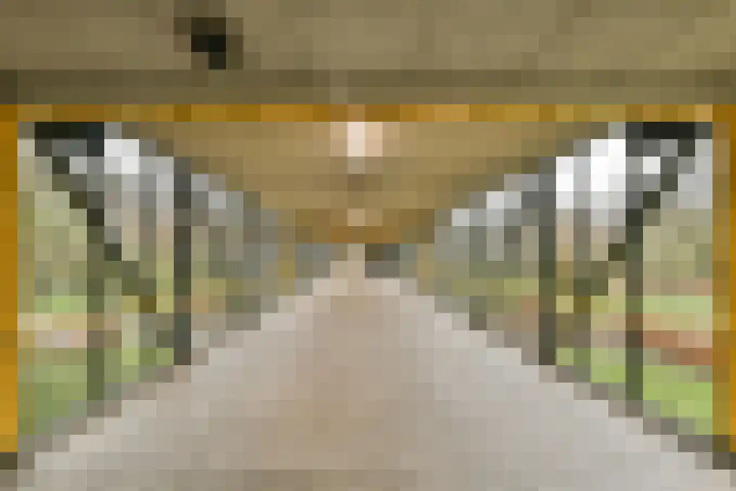 Gouden Leeuw 1027 Amsterdam thumbnail 22