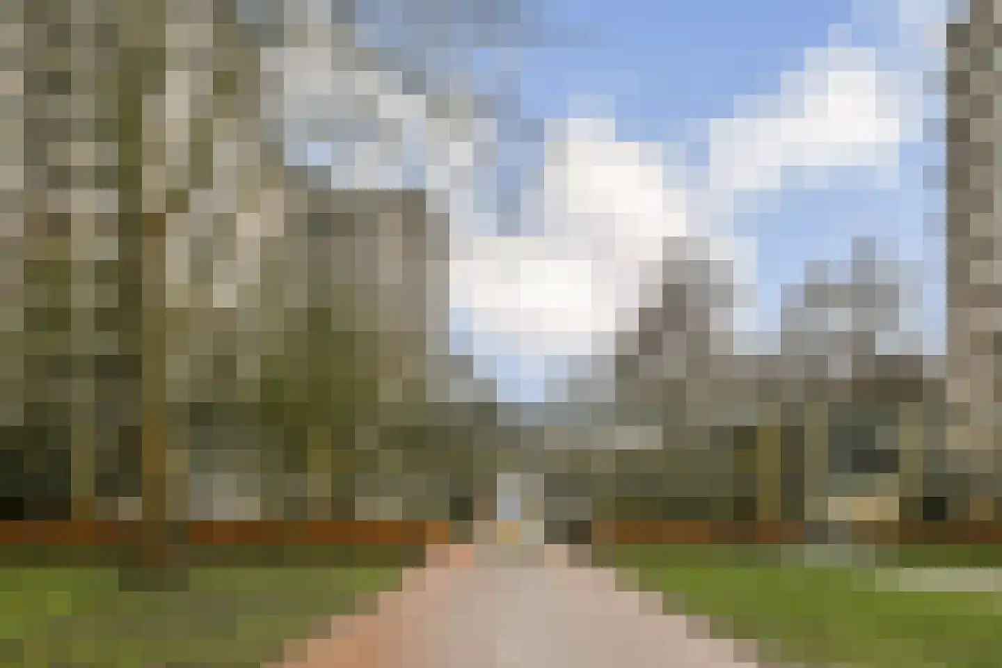Gouden Leeuw 1027 Amsterdam thumbnail 24