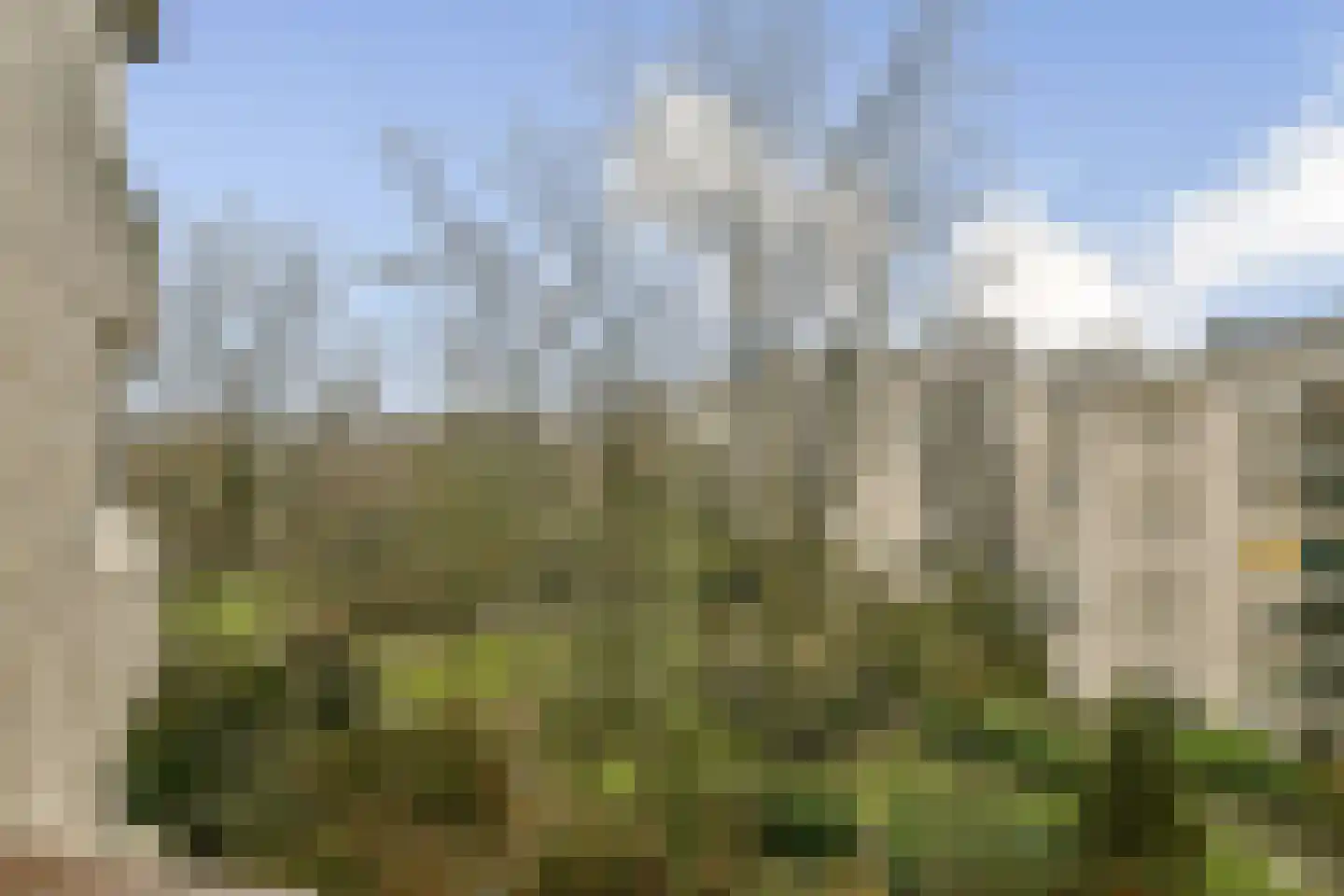 Gouden Leeuw 1027 Amsterdam thumbnail 4