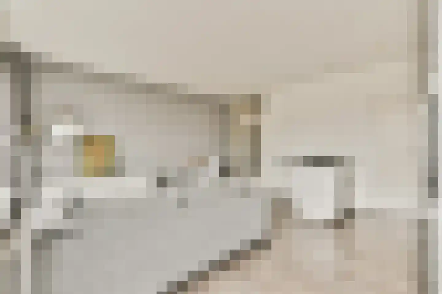 Gouden Leeuw 1027 Amsterdam thumbnail 7