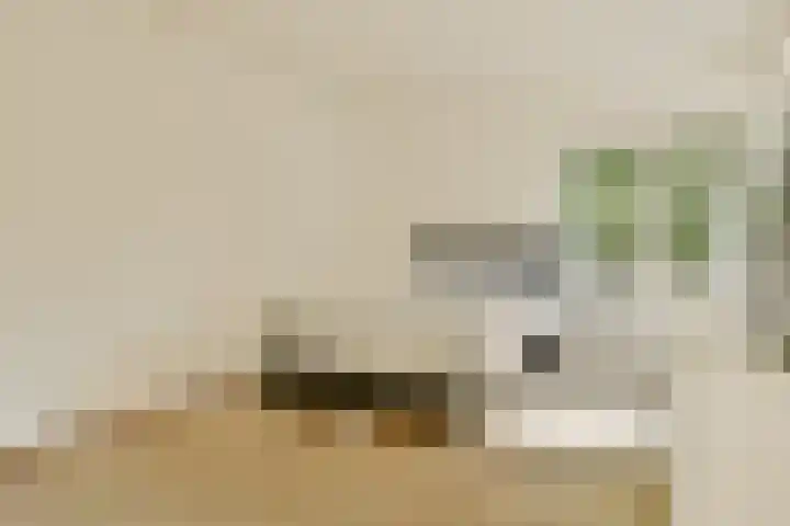 Gouden Leeuw 112 Amsterdam thumbnail 11