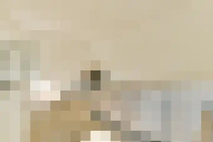 Gouden Leeuw 112 Amsterdam thumbnail 12