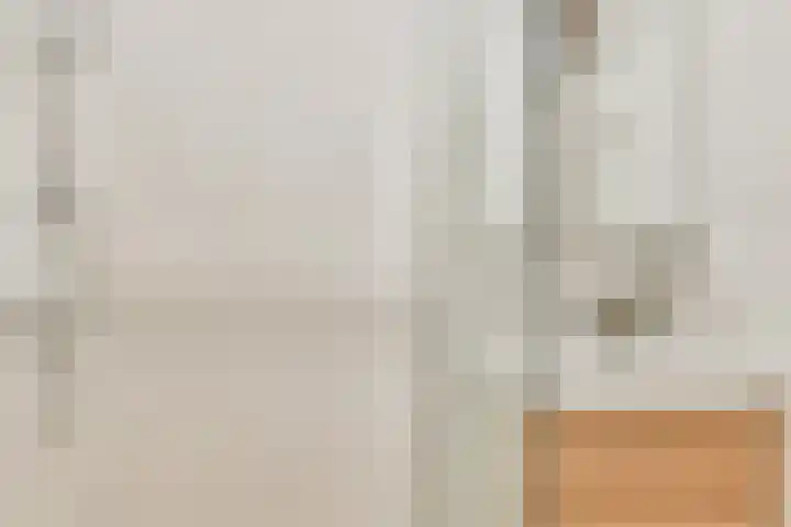 Gouden Leeuw 112 Amsterdam thumbnail 13