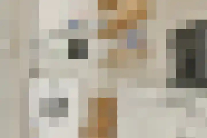 Gouden Leeuw 112 Amsterdam thumbnail 15