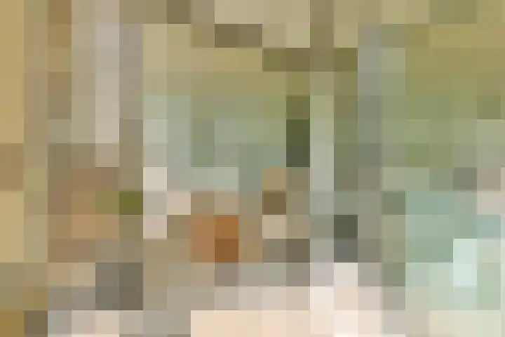 Gouden Leeuw 112 Amsterdam thumbnail 16