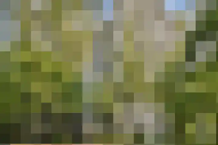 Gouden Leeuw 112 Amsterdam thumbnail 18