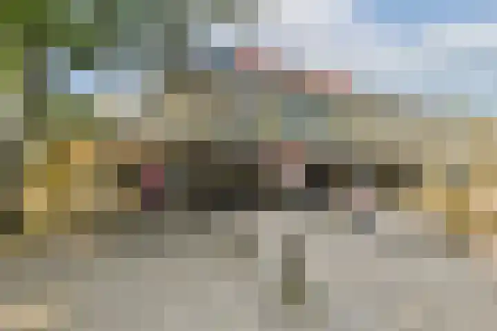 Gouden Leeuw 112 Amsterdam thumbnail 19