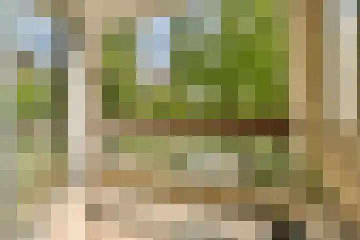 Gouden Leeuw 112 Amsterdam thumbnail 4