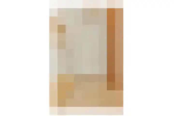 Gouden Leeuw 112 Amsterdam thumbnail 5